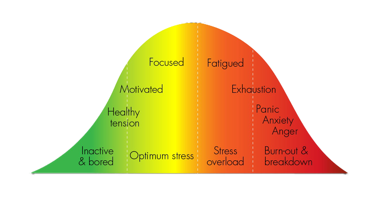 Stress Curve